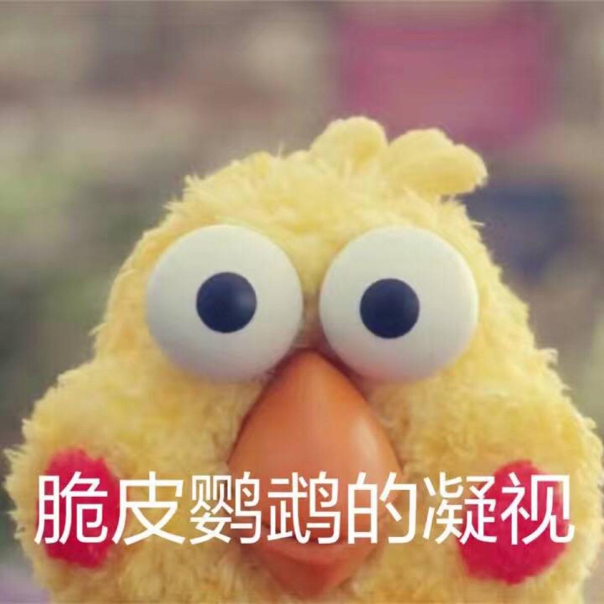 QQ图片20190509160056.jpg